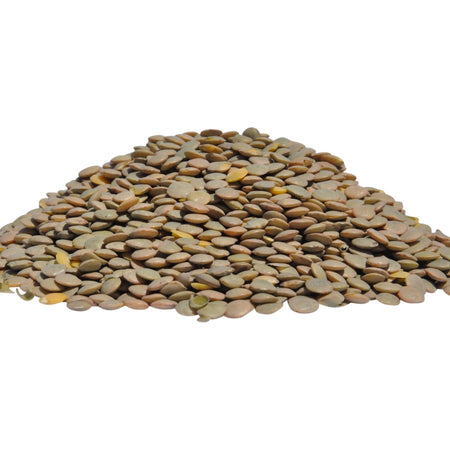 Organic Green Lentils bulk