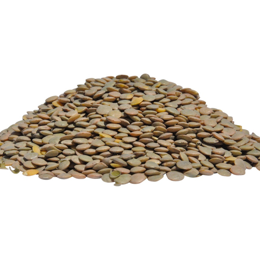Organic Green Lentils bulk