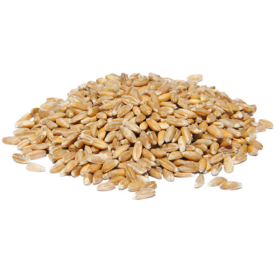 Organic Hulled Wheat