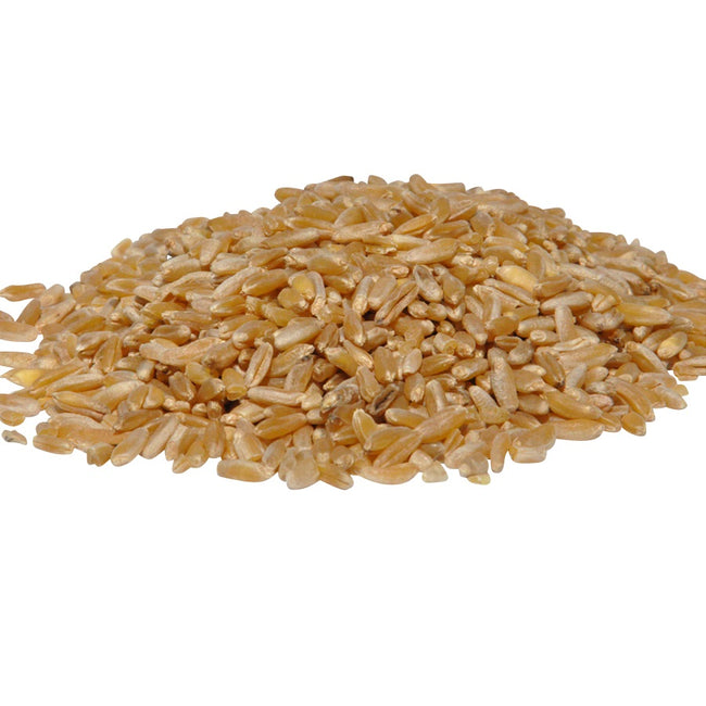 Organic Kamut grains