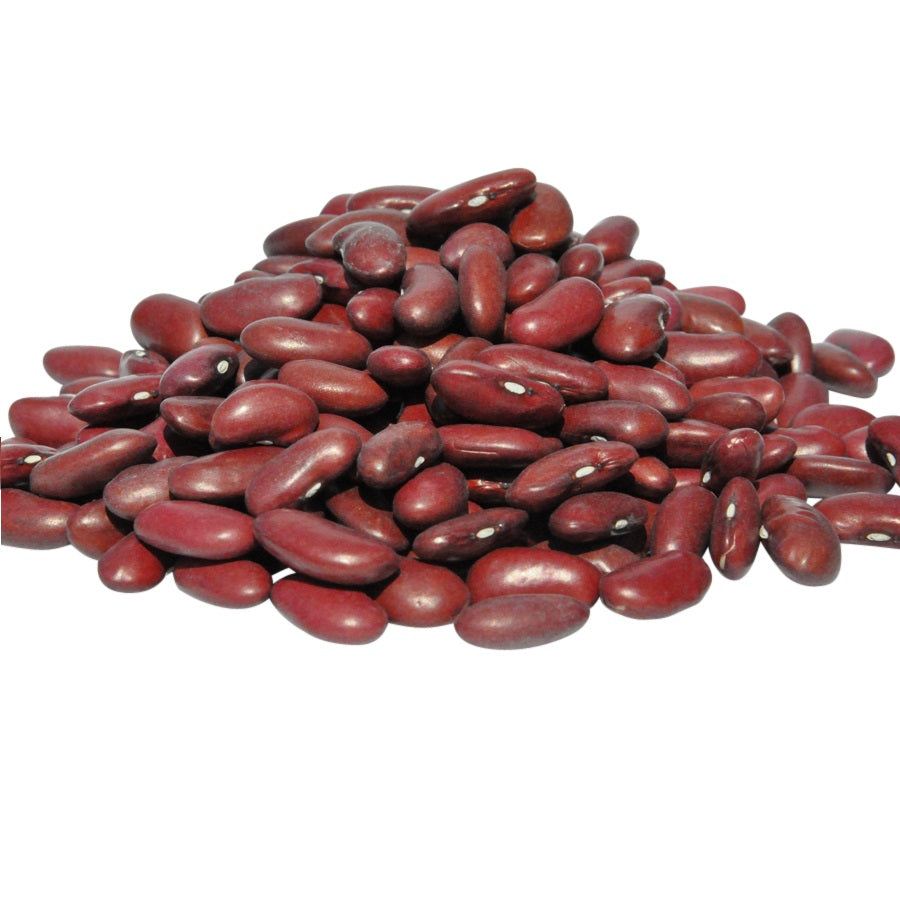 Organic Kidney Beans in bulk