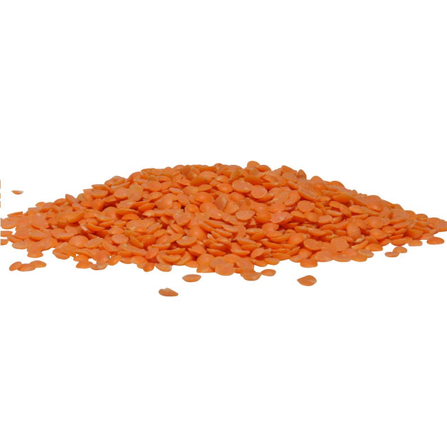 Organic Red Lentils