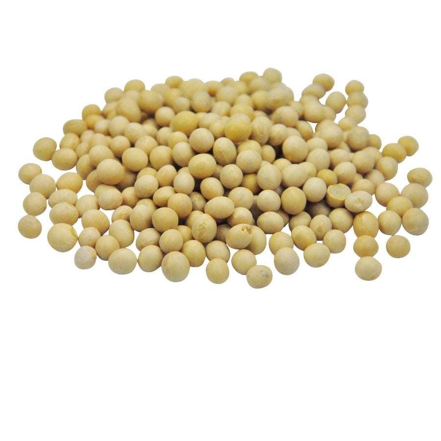 Organic Yellow Soybeans