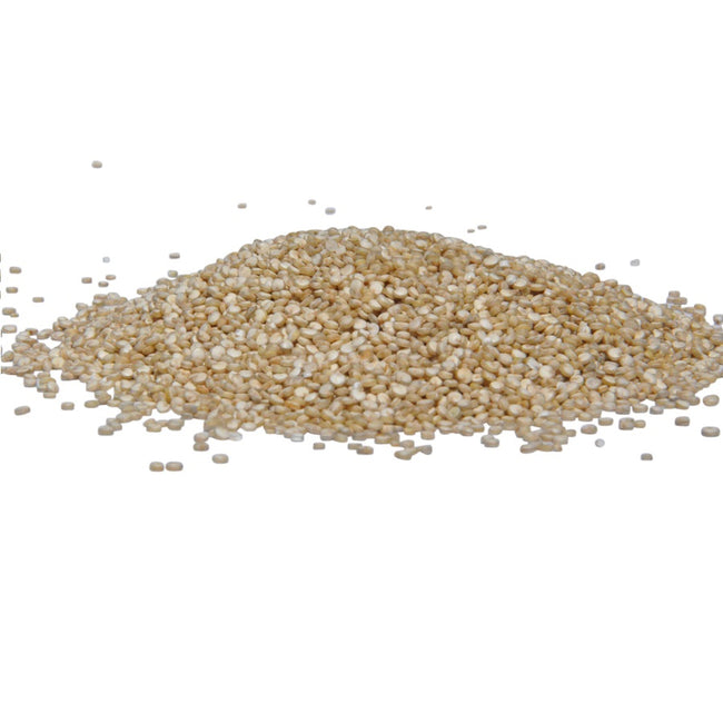 Organic White Quinoa in bulk